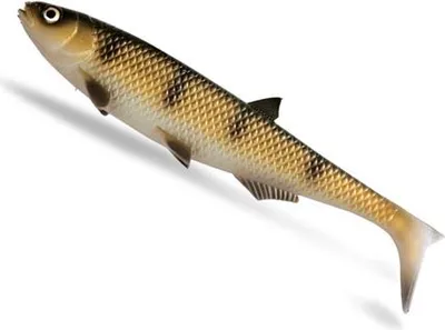 Produktbild von Quantum Yolo Pike 33g 18cm zander