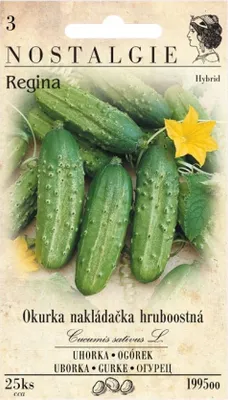 Zdjęcie produktu dla Ogórek REGINA F1 - hybryda, gruboziarnisty