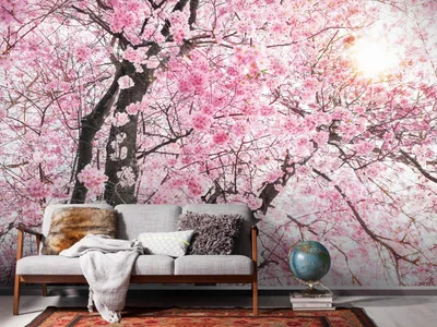 Produktbild von Komar Vlies Fototapete - Bloom - Größe: 400 x 250 cm (Breite x Höhe) - 4 Bahnen, Wohnzimmer, Schlafzimmer, Tapete