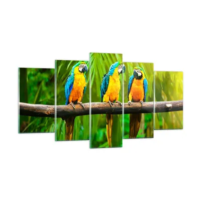 Produktbild von Bilder auf glas - Papageien Collorful Natur Vögel - 160x85cm - Glasbilder - Wandbilder - Kunstdruck - zum Aufhängen bereit - Wanddekoration aus Glas - Glas Bilder - Wandbild auf Glas - GEA160x85-2696