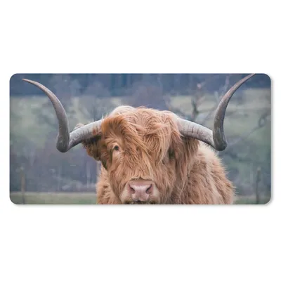 Produktbild von MuchoWow® Mauspad Mousepad Schottischer Highlander - Kuhkopf - Landschaft - Natur - Kuh 60x30 cm - Mousepads - Maus Mat - Pad - Mausunterlage - Nachhaltig