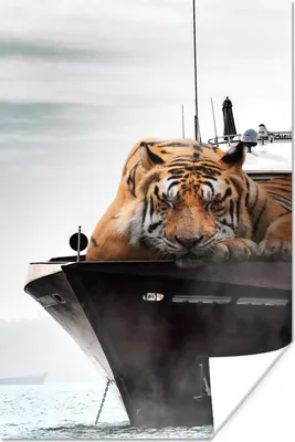 Produktbild von MuchoWow® Poster Tiger - Boot - Meer 40x60 cm - Plakate für die Wand - Poster Babyzimmer
