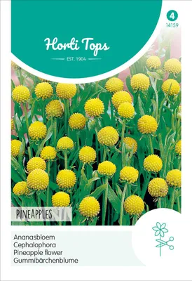 Produktbild von Gummibärchenblume Pineapples | Blumensamen von Hortitops