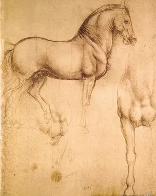 Produktbild von Leonardo Da Vinci Kunstdruck Bild - Pferdestudie, 1493-1494 (50 x 40 cm)
