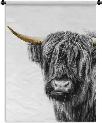 Produktbild von MuchoWow® Wandteppich Wandbehang Scottish Hochlandrind - Schwarz - Weiß - Gold 60x80 cm Tapisserie Dekoration Wandtuch - Decke - Wandtücher - Wohne