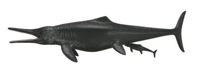 Image de COLLECTA Temnodontosaurus - (XL)