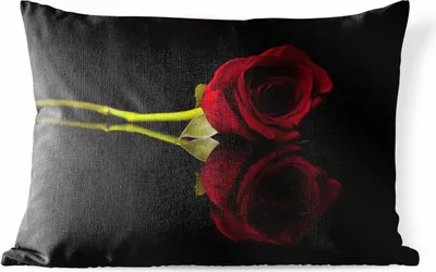 Produktbild von MuchoWow® Outdoor Kissen - Rosen - Schwarz - Rot - 50x30 cm - Wetterfest - Lounge Kissen - Sofa kissen - Wohnzimmer Dekoration
