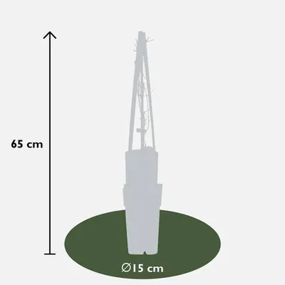 Obrázok produktu pre Clematis Jackmanii - popínavá rastlina Ø15cm Ø65cm - mrazuvzdorná rastlina do