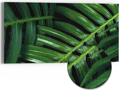 Produktbild von DEQORI Hybrid Leinwand Bild 60x30 cm 'Grüne Blattadern' Wandbild Glas flach modern