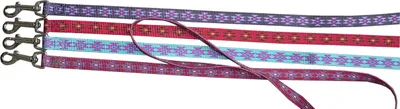 Produktbild von Hundeleine Diamonte Classic mit Handschlaufe und Drehkarabiner aus starkem Nylon 1,6 cm breit, 120 cm lang in Teal