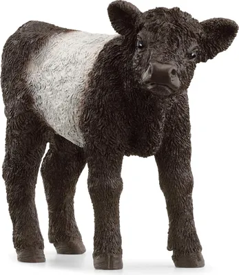 Image de Schleich Farm World Veau Galloway