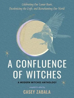Produktbild von A Confluence of Witches