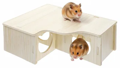 Productafbeelding van Hamsterhuis met Kletterladder van Hout en Verkenningstunnel voor Kleine Huisdieren