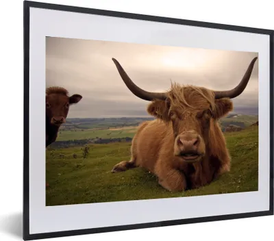 Produktbild von MuchoWow® MuchoWow® Gerahmtes Poster Schottisches Hochlandrind - Tiere - Berg 60x40 cm - Poster mit zchwarzem Bilderrahmen - Schlafzimmer - Plakat in Rahmen - Drucken