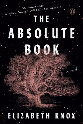 Produktbild von The Absolute Book