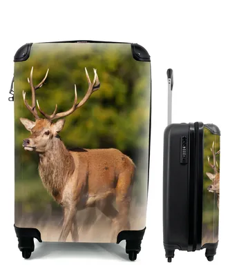 Produktbild von MuchoWow® Koffer Handgepäck Trolley Rollkoffer Kleine Reisekoffer mit 4 Rollen - Tiere - Hirsche - Geweihe - Waldtiere - Natur - Cabin Size < 55x40x23 cm & 55x40x20 cm - Fotokoffer - Kabinenkoffer - Boardgepäck - Reise-Box - Reisekoffer - Reisegepäck - Koffer mit Bild - Trolley für Kinder