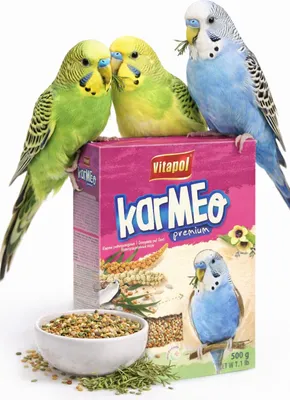 Zdjęcie produktu dla Vitapol zvp-2100, Nasiona, 500 g, Papuga, proso żółte, proso czerwone, proso białe, nasiona mozgi kanaryjskiej, owies łuskasny, siemię...