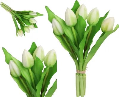 Produktbild von Tulpen Bouquet Von Tulpen Gummi Abgedeckt Wie Das Leben