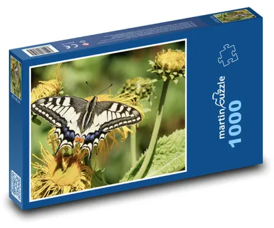 Obrázek produktu pro Puzzle 1000 Motýl na květině - opýlení - martinpuzzle