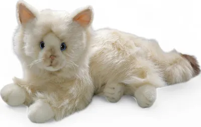 A plush toy cat lying down on a white background.