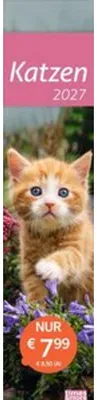 Produktbild von times&more Katzen Langplaner 2027