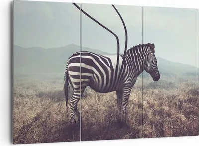 Produktbild von Bild auf Leinwand - Leinwandbild - Zebra Tier Wiese - 165x110cm - Wand Bild - Wanddeko - Leinwanddruck - Bilder - Kunstdruck - Wanddekoration - Leinwand bilder - Wandkunst - CE165x110-3959