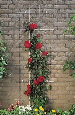 Productafbeelding van Nature Metalen klimrek groen 0,5x57x145cm