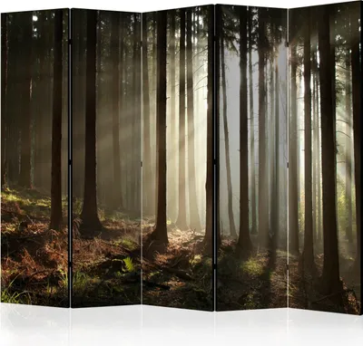 Produktbild von Akusticher Raumteiler Wald Foto Paravent 225x172 cm beidseitig auf Vlies-Leinwand bedruckt Akustikschaum Trennwand Spanische Wand Sichtschutz Home Office Bäume Natur Botanik Sonne c-C-0272-z-c