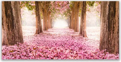 Produktbild von Tulup Leinwand-Bilder 140x70 Wandbild Canvas Kunstdruck Fußpfad Baumstämme Natur