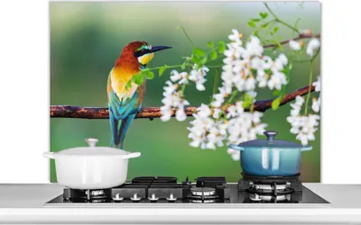 Produktbild von KitchenYeah®  Spritzschutz Küche - Küchenrückwand - Wandschutz für Herd und Spüle - Vogel - Bienenfresser - Blumen 100x65 - Alu-Dibond (Alternative zum Spritzschutz aus Glas) - Hitzebeständig - Herdsp