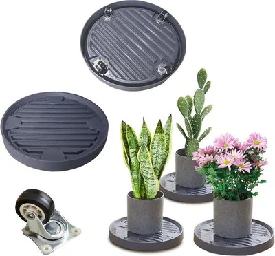 Produktbild von Famanu Pflanzenroller 31 cm - Mit 360° drehbaren Rädern und 80 kg Tragkraft