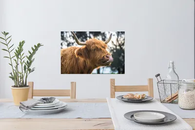 Produktbild von MuchoWow® - Wierderverwendbar - Selbstklebend