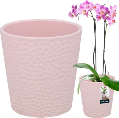 A pink ceramic pot and a pink orchid plant in a smaller pot.