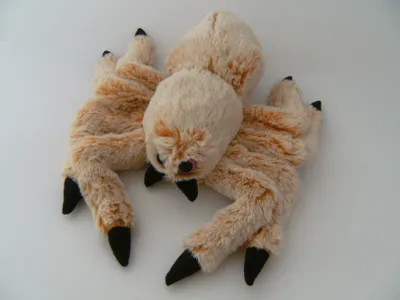 Produktbild von Plüschtier Spinne 30 cm, beige,  Spinnen Kuscheltiere Stofftiere Vogelspinnen Tarantel