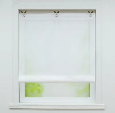 A white Roman blind is installed on a window, with green foliage visible through the translucent fabric.