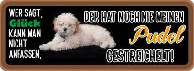 Produktbild von vianmo Holzschild 10x27 cm Pudel Hund gestreichelt Tier Haustier