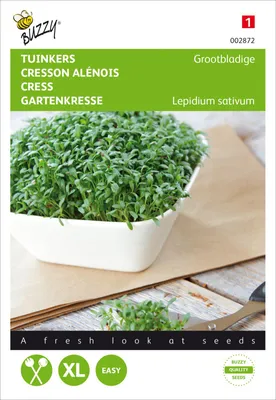 Produktbild von Gartenkresse Großblättrige | Kressesamen von Buzzy Seeds