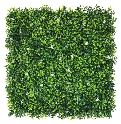 Image de Panneau de jardin vertical avec des feuilles vertes et des fleurs blanches