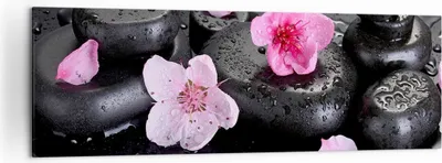 Produktbild von Bild auf Leinwand - Leinwandbild - Blumen Steine Tropfen Spa - 160x50cm - Wand Bild - Wanddeko - Leinwanddruck - Bilder - Kunstdruck - Wanddekoration - Leinwand bilder - Wandkunst - AB160x50-2714