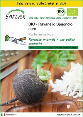 Immagine prodotto di SAFLAX Insieme di coltivazione -- Ravanello Spagnolo nero  - 100 semi - Raphanus