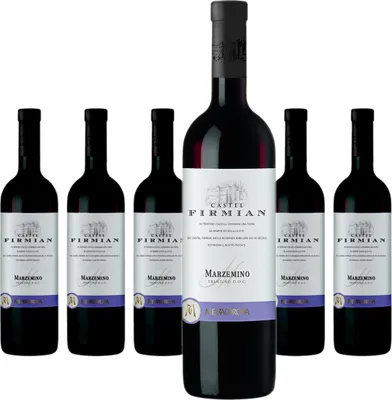 Produktbild von 6 x Mezzacorona Castel Firmian Marzemino Trentino