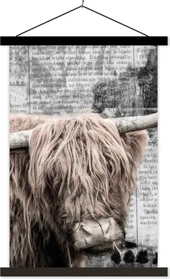 Produktbild von MuchoWow® Textilposter Schottisches Hochlandrind - Vintage - Zeitungsartikel 120x180 cm mit schwarzem Rahmen - Fotos