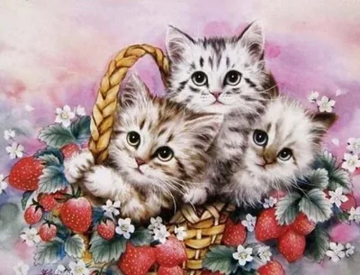 Produktbild von Malen nach Zahlen Katzen im Korb 50x40 mit Rahmen Kreativ