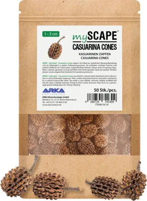 Zdjęcie produktu dla mySCAPE-CASUARINA CONES Casuarina cone