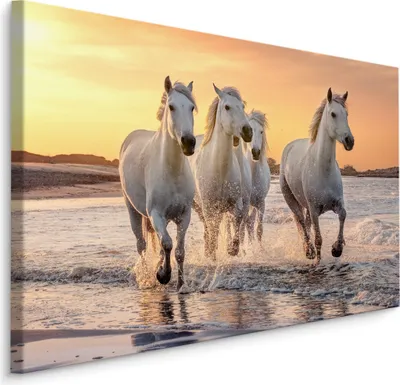 Zdjęcie produktu dla Obraz do salonu konie w galopie krajobraz Abstrakcja z efektem 3D 70x50cm