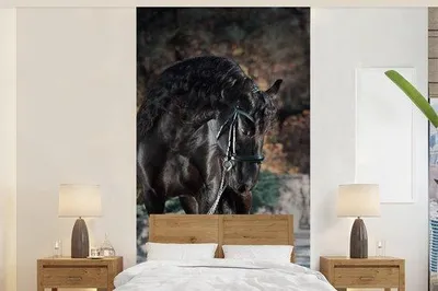 Produktbild von Fotobanner Pferde - Friesischer Halstier - Breite 120 cm x Höhe 240 cm
