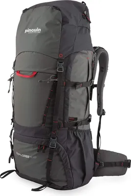 Produktbild von Pinguin Explorer 100 Farbe: schwarz