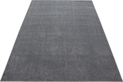 Produktbild von Ata teppich kurzflor rechteckig 160x230cm hellgrau