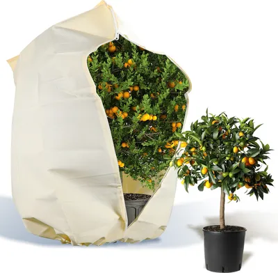 Produktbild von Winterschutz Frostschutz Wintervlies für Pflanzen, 200×240cm, 100g/㎡, Pflanzenschutz Tasche, mit Kordelzug Zelt, große Pflanzen Abdeckung Frost, Strauch