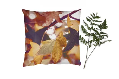 Produktbild von MuchoWow® Zierkissen Sofakissen Wohnzimmer Dekokissen 45x45 cm Blätter - Ahorn - Herbst - Jahreszeiten - Schlafpolster - Polster für das Sofa